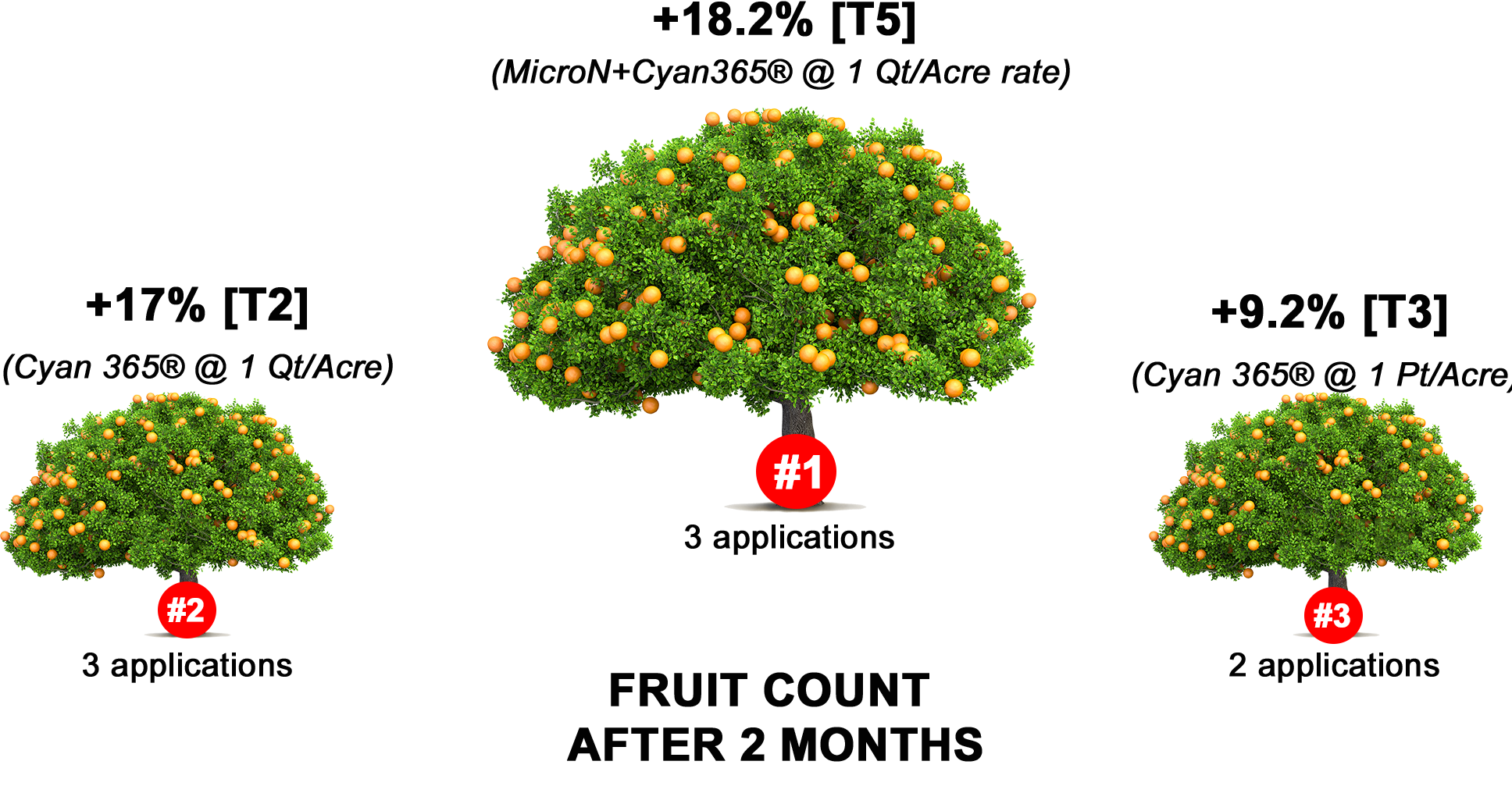 PERFORMANCE / YIELD / Processing oranges / Valencias / 2019 | C Green