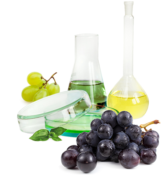 A petri dish, laboratory flask, and a boiling flask with a round bottom filled colored fluids or solids, between two sets of grapes